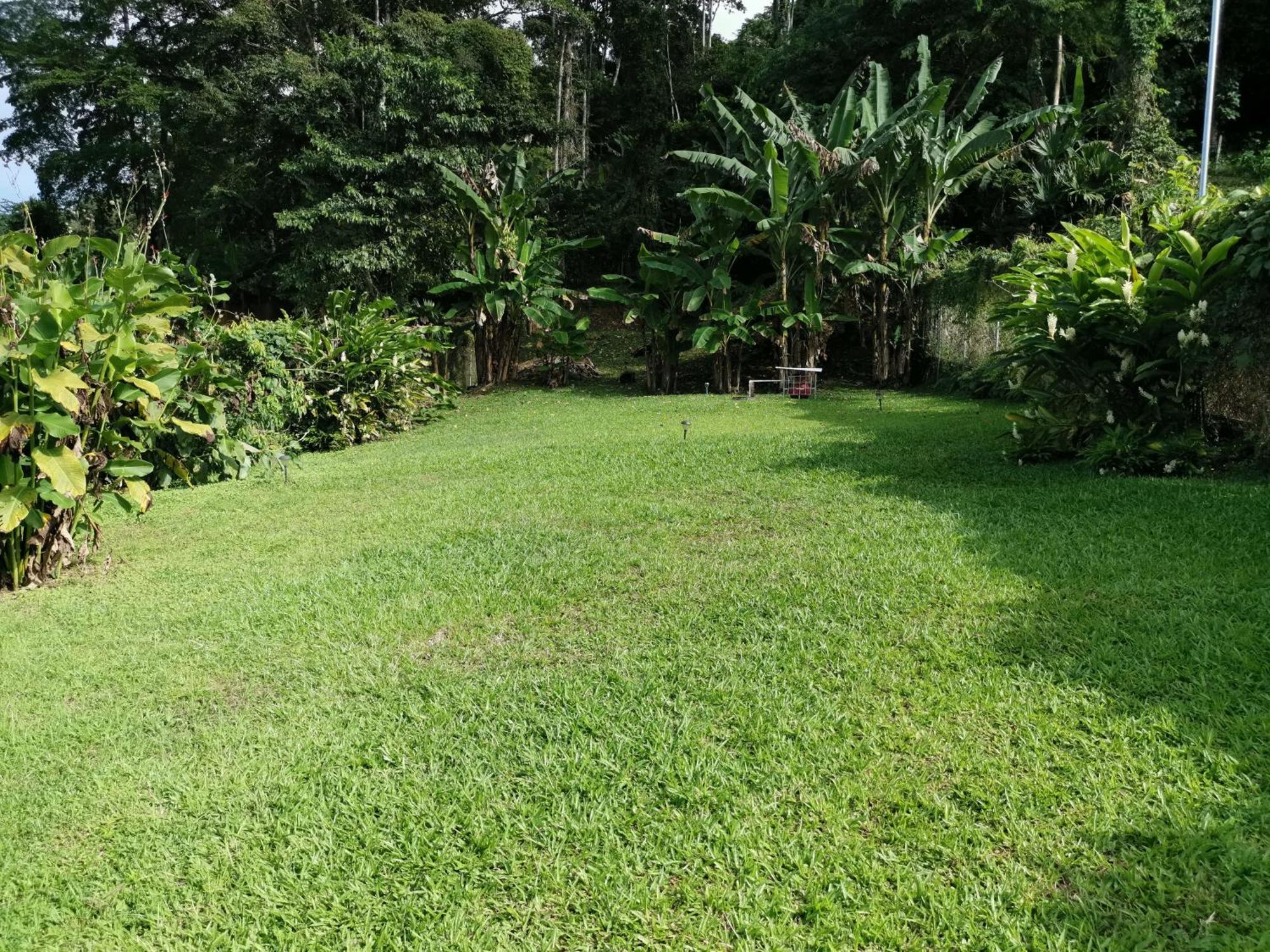 Casa Echavarria ซานโฮเซ ห้อง รูปภาพ